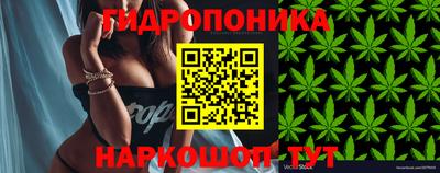 мескалин Владимир