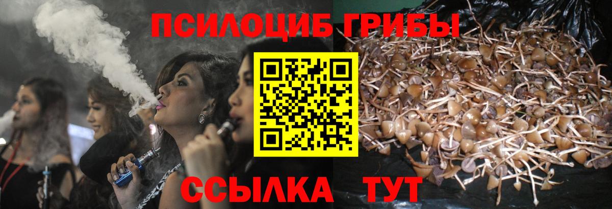 как найти закладки  Галлюциногенные грибы Psilocybine cubensis  Вход с VPN  Донской 